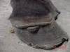 coronet lateral quarter crack
