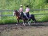 Kids riding ponies
