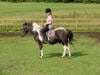 Girl on a pony