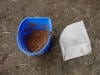 Hoof - Deep Abscess Treatment