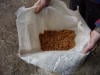 Hoof - Deep Abscess Treatment