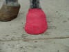 Hoof Abscess Treatment
