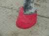 Hoof Abscess Treatment