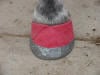 Hoof Abscess Treatment