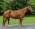 Cowboy
Posted on 23rd Jun,2006 
03:03:58 PM
Average Rating=9.00
