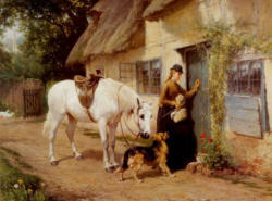 Horse Ailments