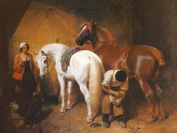 Hoof Care