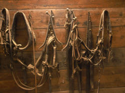 Horse Products