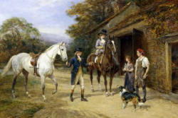 Horse Injury